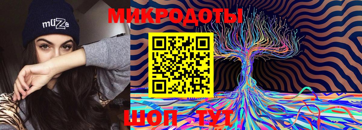 Псилоцибиновые грибы Psilocybine cubensis Кувандык